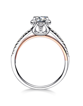 首页| 6008集团官方网站有限公司