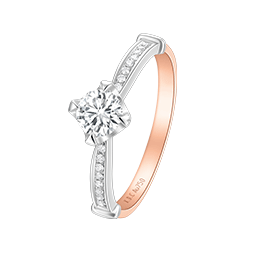 首页| 6008集团官方网站有限公司