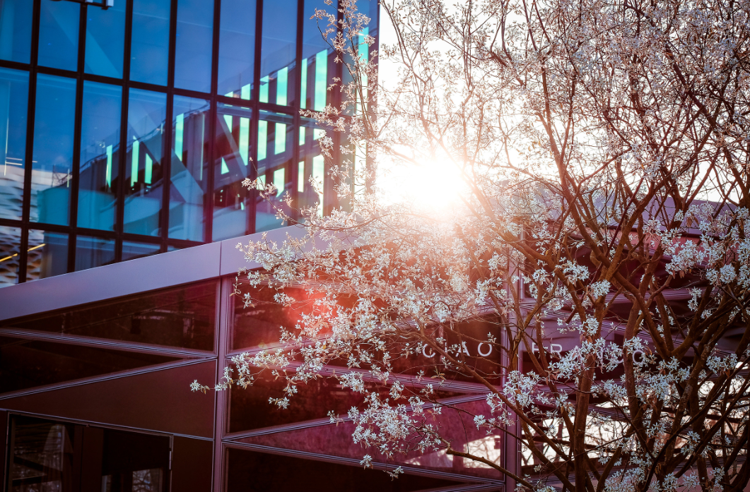 巴塞尔天下钟表珠宝博览会